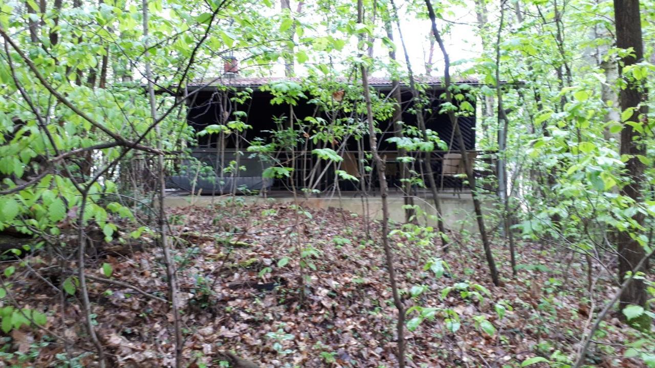 Waldhaus Wiesengrund Schwielochsee Luaran gambar